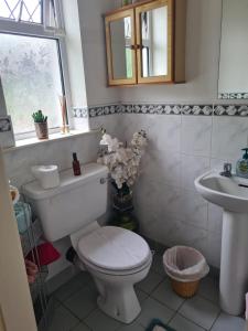 a bathroom with a toilet and a sink at Coreen Guest House in Tullamore