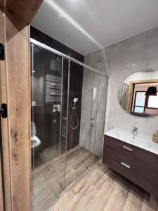 een badkamer met een douche, een wastafel en een spiegel bij Willa Matejki in Przemyśl