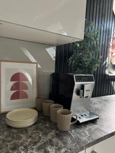 a kitchen with a coffee machine on a counter at Cozy room with kitchen near the lake in Tõrva