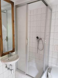 ein Badezimmer mit einer Dusche, einem Waschbecken und einer Badewanne in der Unterkunft Bergblick in Königstein an der Elbe