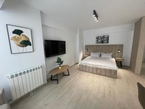 a bedroom with a bed and a tv on the wall at L&C Platinum Property in Năvodari +32 photos