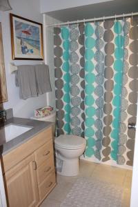 a bathroom with a toilet and a shower curtain at Sea Woods Large 1 Bedroom Condo And A Whole Lot Of Amenities! in New Smyrna Beach