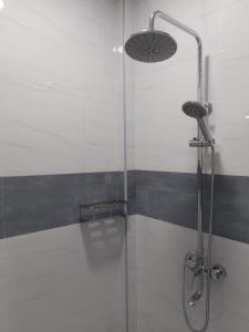 ducha con puerta de cristal y cabezal de ducha en Fehi Velaa Stay, 