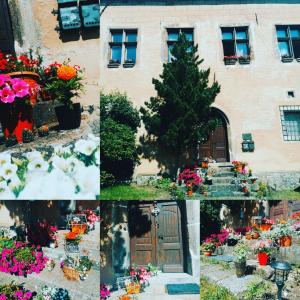 un collage de fotos de flores frente a un edificio en Gothic House Apartments, en Kremnica