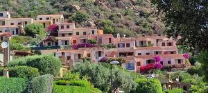 a group of houses on a hill with bushes and trees at Villa Milena Costa Rei VISTA MARE in Costa Rei