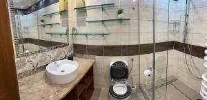 a bathroom with a toilet and a sink at Apartament Władek in Biały Dunajec +26 photos