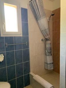 ein Bad mit einer Dusche und einem Fenster in der Unterkunft Villa 3ch piscine vue dégagée in Taradeau