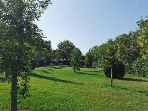 Zahrada ubytování Glamping Agricampeggio Tognoni