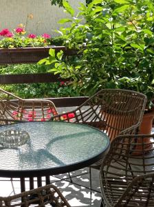 une terrasse avec une table, des chaises et des plantes dans l'établissement Studio Apartman Škudar, à Bjelovar