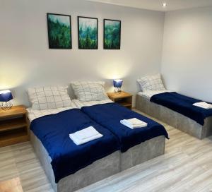 En eller flere senge i et værelse på Obrocz67