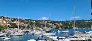 a bunch of boats are docked in a marina at Apartment Volosko View in Opatija