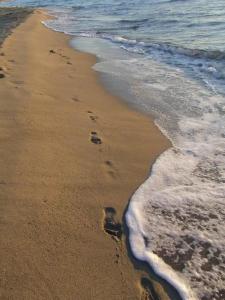 a beach with footprints in the sand and water at Appartement T2 vue Marina 2QMAR15 apartment one bedroom marina view in Canet-en-Roussillon