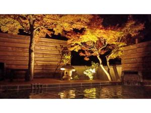 a pool of water with two trees and a lantern at Shunjuan Kikusui - Vacation STAY 03162v in Chikuma