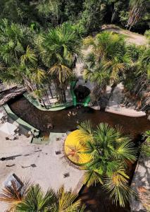 - une vue sur un parc avec des palmiers et une piscine dans l'établissement Cirandeira Amazon World EcoResort, à Manacapuru