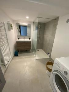 a bathroom with a shower and a sink and a washing machine at Maison de campagne moderne in Beaurieux
