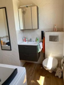 ein Badezimmer mit einem WC, einem Waschbecken und einem Spiegel in der Unterkunft Ferienwohnung Rheinblick, ruhig, Aussicht, Gartennutzung, Sport-Pool in Koblenz