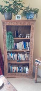 インバネスにあるStrome Lodgeの鉢植えの植物が2本入った本棚