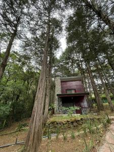 a small house in the middle of the forest at Cabañas Lunas del Poás 
