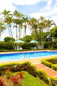 uma piscina com dois guarda-sóis e palmeiras em Casa Abbá Hotel em La Tebaida