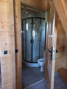 a bathroom with a shower and a toilet at Domek Arkadia in Gąski