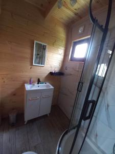 a bathroom with a sink and a shower in a cabin at Domek Arkadia in Gąski