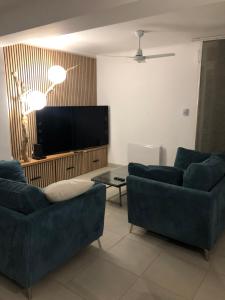 TV a/nebo společenská místnost v ubytování Villa 3 chambres avec piscine privée