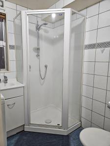 a shower with a glass door in a bathroom at 4 Bedrooms, VERY Central Townhouse! in Wellington