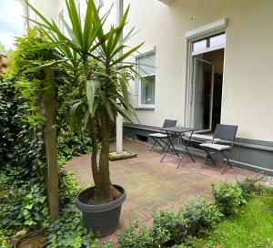 a palm tree in a pot on a patio at Stadtapartment WOHNEN48.AT in Klagenfurt