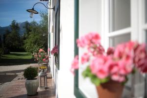 różowe kwiaty w garnkach na oknie. w obiekcie Branntweinhäusl w mieście St. Wolfgang