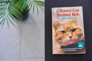 Zdjęcie z galerii obiektu Apartamento El Gato w mieście Costa Del Silencio