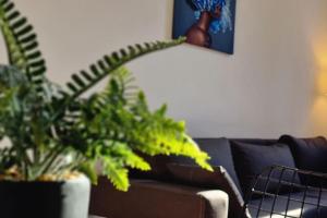 Foto sihtkohas Zemun asuva majutusasutuse Amar 2 galeriist