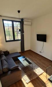 a living room with a couch and a flat screen tv at Amar 2 in Zemun