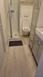 a bathroom with a shower and a toilet and a sink at Ferienwohnung An der Spitze in Winterberg