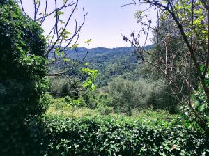 una vista de las montañas a través de los árboles en La scala di Ba, en Castiglione Chiavarese