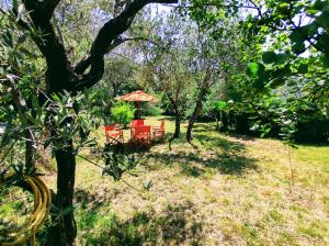 einen Tisch und Stühle unter einem Sonnenschirm in einem Garten in der Unterkunft La scala di Ba in Castiglione Chiavarese