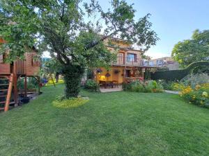 a yard with a house with a tree in it at Emides in Pobierowo