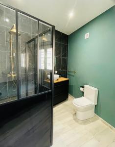 une salle de bain avec toilettes, douche et lavabo dans l'établissement Notre cocon sudiste, à Cogolin 8 autres photos