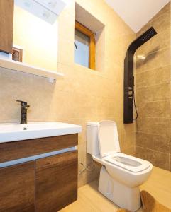 a bathroom with a toilet and a sink at MALËSIA EKO RESORT in Peje