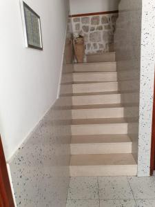 a staircase in a house with a stone wall at Guest House Kormilo in Ston