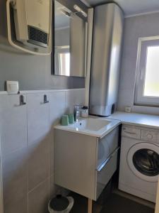 eine Küche mit einer Spüle und einer Waschmaschine in der Unterkunft Gîte Au Coeur Du Vignoble in Westhalten