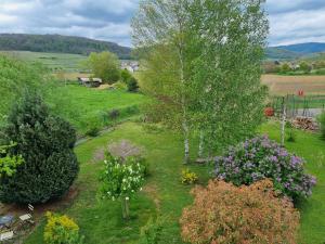 eine Luftblick auf einen Garten mit Bäumen und Blumen in der Unterkunft Gîte Au Coeur Du Vignoble in Westhalten