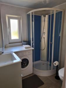a bathroom with a shower and a washing machine at Gîte Au Coeur Du Vignoble in Westhalten