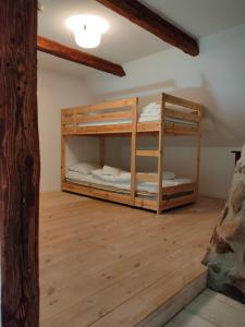 two bunk beds in a room with wooden floors at Vingården i Arild in Arild
