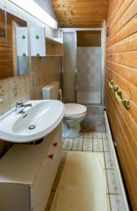 ein Bad mit einem Waschbecken und einem WC in der Unterkunft Ammergauer Ferienidyll in Unterammergau