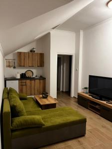 a living room with a green couch and a television at Guest Radic Apartments in Palić
