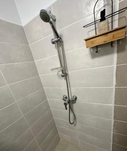 a shower with a shower head in a bathroom at Le petit colibri in Rémire-Camp