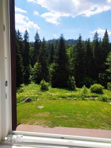 a window view of a field of grass and trees at WELLNESS Penzion Triola in Kořenov