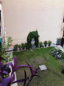 米蘭的住宿－Harry Potter's Magic House - Metro M4 - Linate - Città Studi，种有植物和白色墙壁的花园