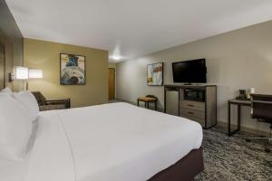 TV a/nebo společenská místnost v ubytování Best Western Temple Inn & Suites