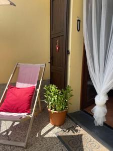 une chaise et une plante devant une porte dans l'établissement LA CASETTA del MIRTILLO ROSSO, à Santo Stefano dʼAveto